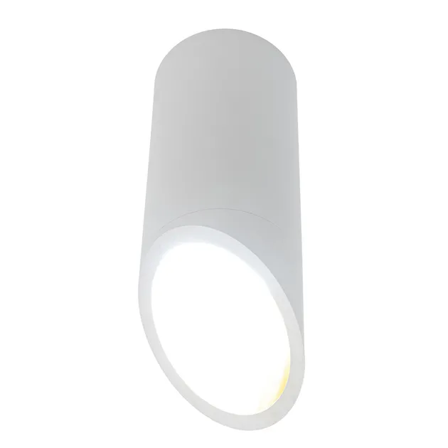 Накладний точковий світильник Altalusse INL-7027D-01 White