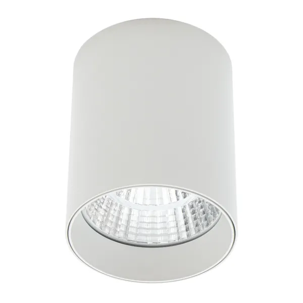 Накладний точковий світильник Altalusse INL-7024D-05 White