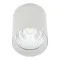 Накладний точковий світильник Altalusse INL-7024D-05 White