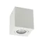 Накладний точковий світильник Altalusse INL-7005D-01 White