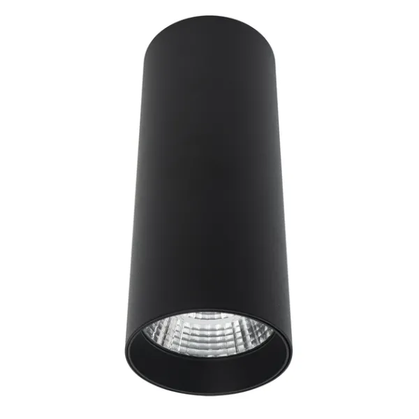 Накладний точковий світильник Altalusse INL-7024D-10 Black