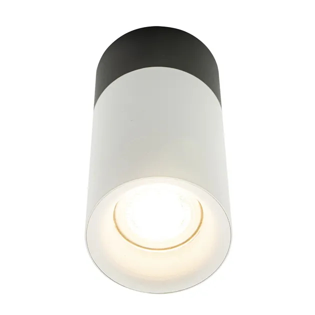 Накладний точковий світильник Altalusse INL-7008D-01 White
