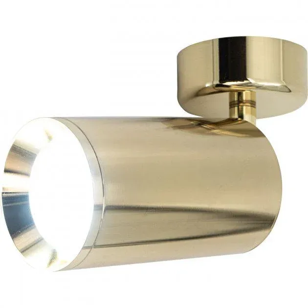 Накладний точковий світильник Altalusse INL-7034D-01 Gold